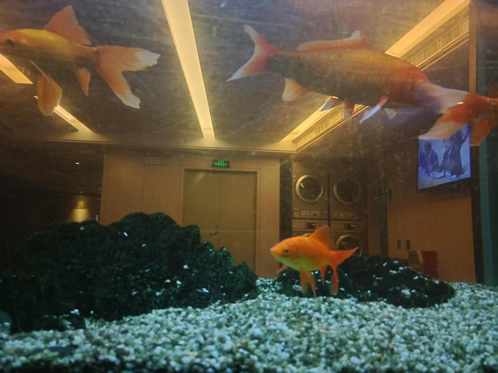 Paco Hotel Tianhe Coach Terminal Metro Satation Guangzhou-Free Shuttle Bus For Canton Fair エクステリア 写真